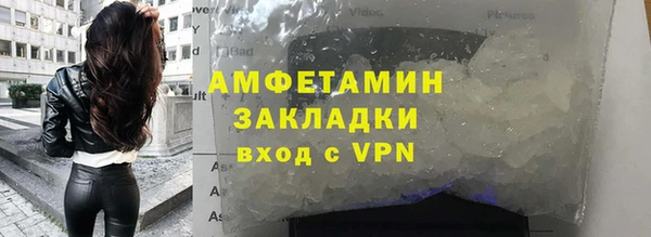 прущие грибы Нягань
