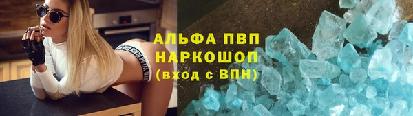 прущие грибы Нягань