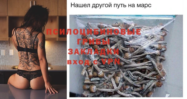 прущие грибы Нягань