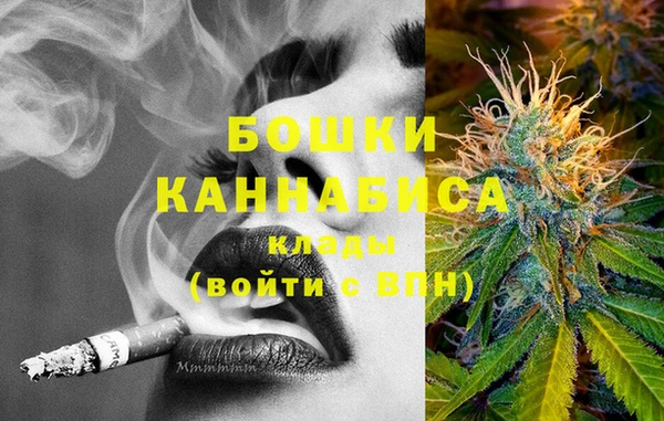 прущие грибы Нягань