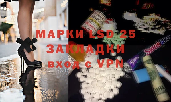 прущие грибы Нягань