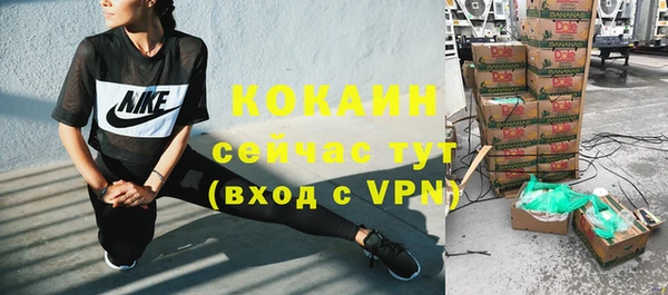прущие грибы Нягань