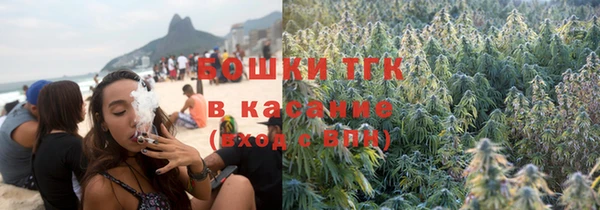 прущие грибы Нягань