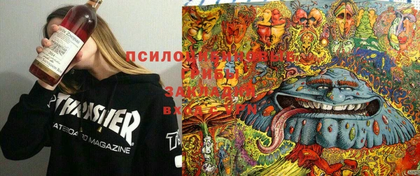 мескалин Нязепетровск