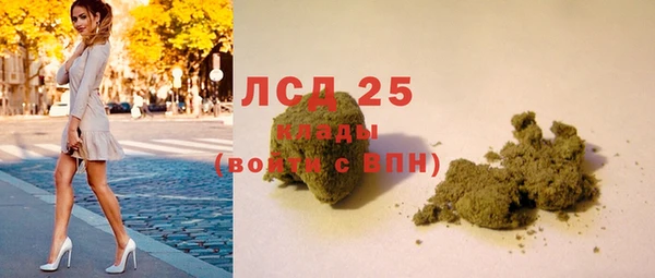 прущие грибы Нягань
